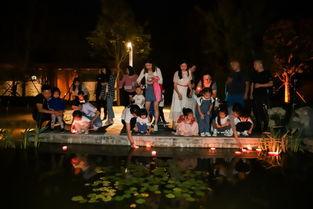 卓尔最新爆料桃花驿,桃花驿神秘面纱背后的传奇故事  第1张